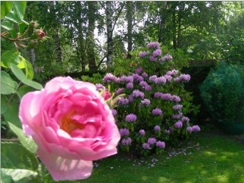 A La Maison Du Heron Bed & Breakfast