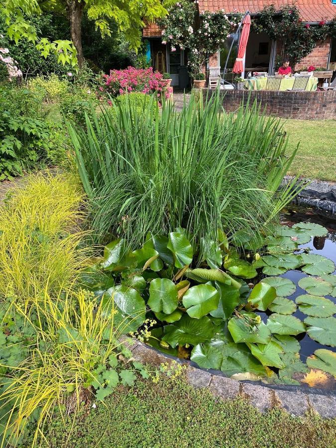 Bed & Breakfast A La Maison Du Heron