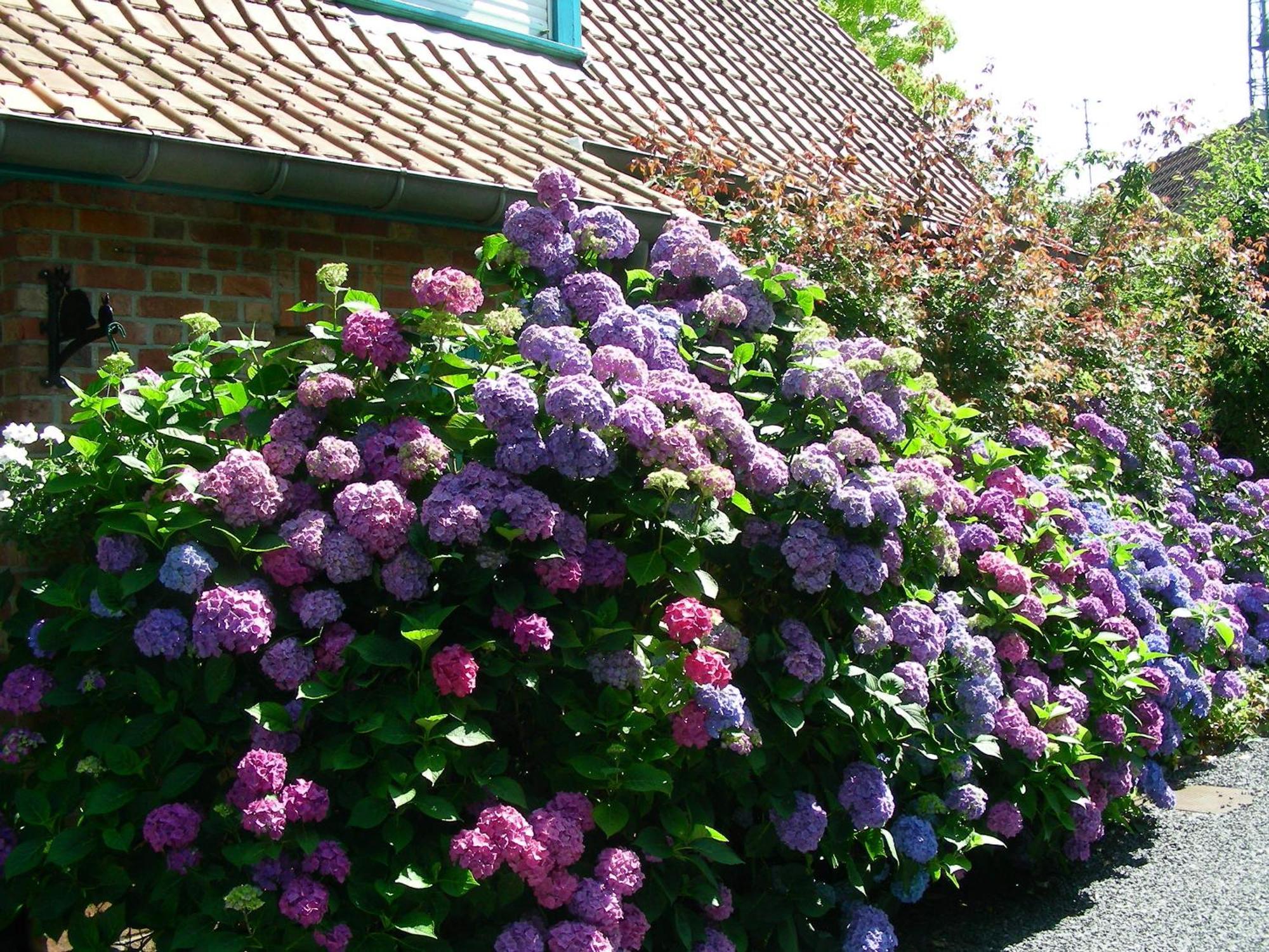 Bed & Breakfast A La Maison Du Heron
